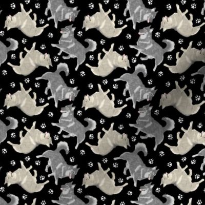 Tiny Trotting Swedish Vallhund and paw prints - black