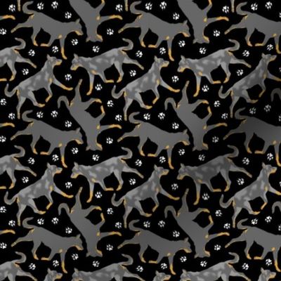 Tiny Trotting cropped Beaucerons and paw prints - black