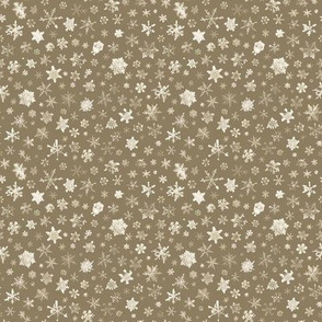 small photographic snowflakes on tan