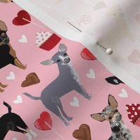 chihuahua love fabric valentines cute cupcakes chihuahua fabrics cute dogs design