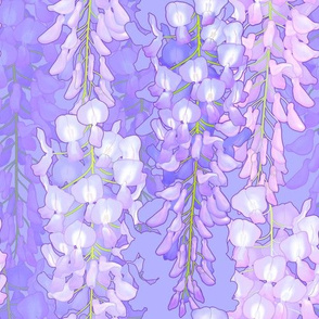 Wisteria