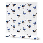 Large Blue Wrens Scattered on White