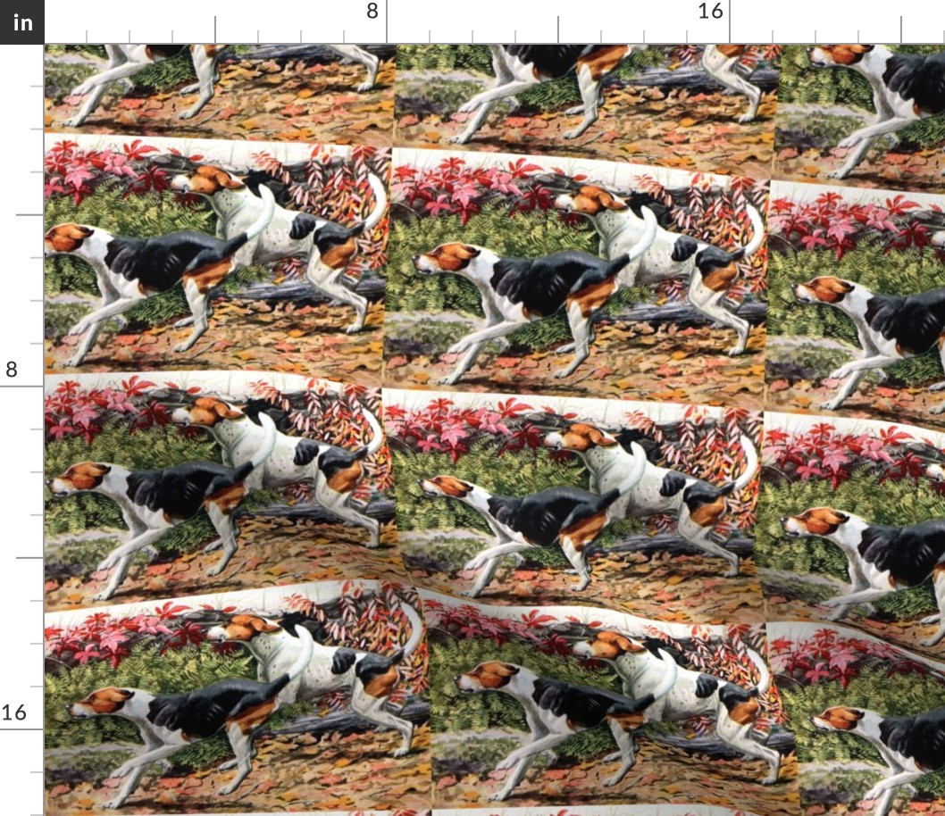 dogs bloodhounds hounds forests nature trees Poinsettia ferns leaves leaf autumn vintage nature