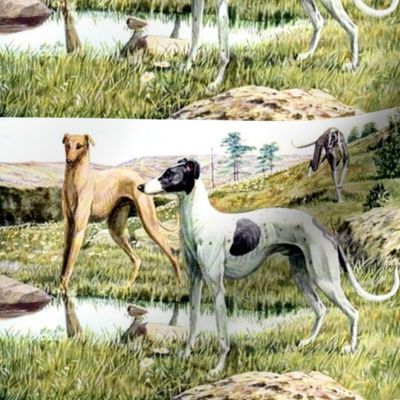 dogs greyhounds grayhounds hounds mountains hills trees nature flowers grass pools lakes stones boulders vintage 