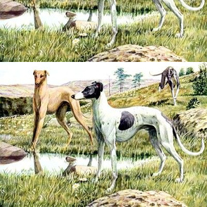 dogs greyhounds grayhounds hounds mountains hills trees nature flowers grass pools lakes stones boulders vintage 
