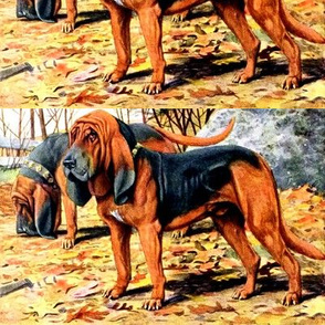 dogs bloodhounds hounds forests trees autumn leaves vintage retro animals