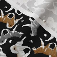 Tiny Trotting Alaskan Malamutes and paw prints - black