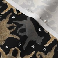 Tiny Trotting Berger Picard and paw prints - black