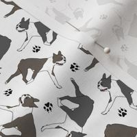 Tiny Trotting Boston Terriers and paw prints - white