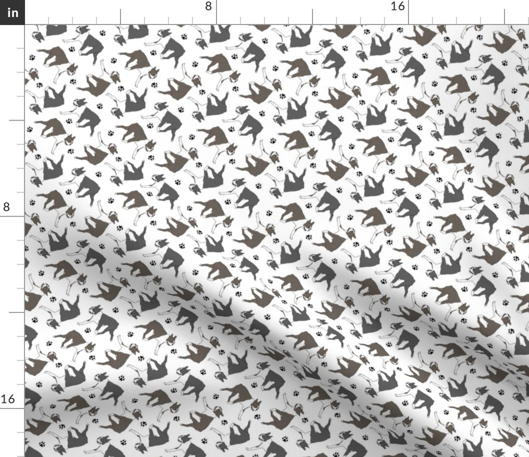 Tiny Trotting Boston Terriers and paw prints - white