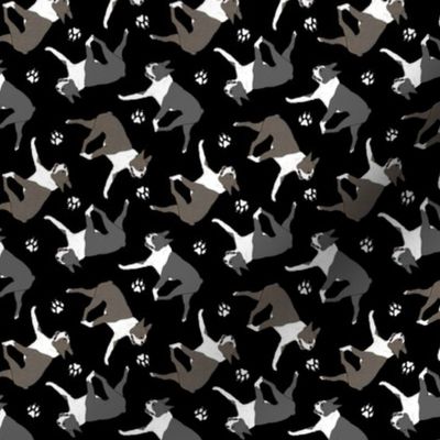 Tiny Trotting Boston Terriers and paw prints - black