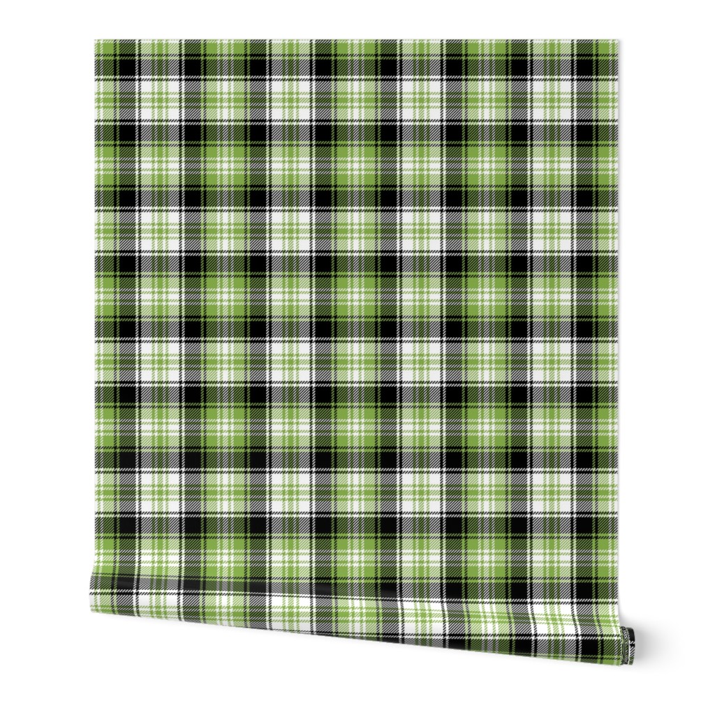 06015367 : tartan : spoonflower0372