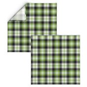 06015367 : tartan : spoonflower0372