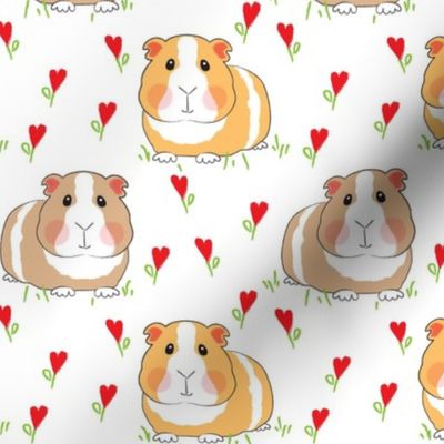 large guinea pigs with red heart flowers