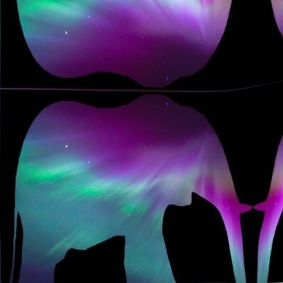 Northern_lights_elephant