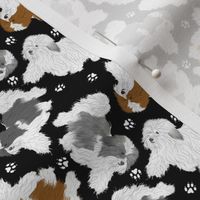 Tiny Trotting Havanese and paw prints - black