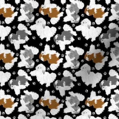 Tiny Trotting Havanese and paw prints - black