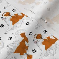 Tiny Trotting Kooikerhondje and paw prints - white