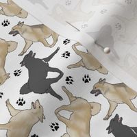 Tiny Trotting Norwegian Buhunds and paw prints - white