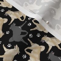 Tiny Trotting Norwegian Buhunds and paw prints - black