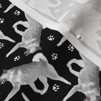 Tiny Trotting Norwegian Elkhound and paw prints - black