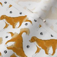 Tiny Trotting Nova Scotia duck tolling Retriever and paw prints - white