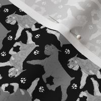 Tiny Trotting Standard Schnauzers and paw prints - black