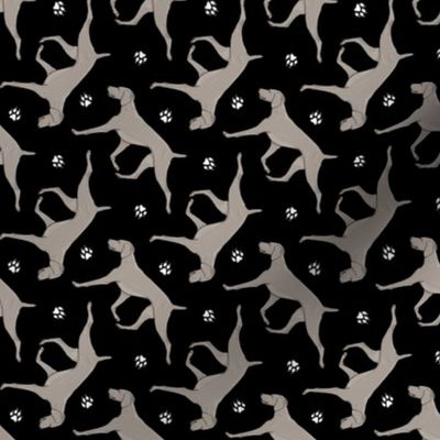 Tiny Trotting Weimaraner and paw prints - black