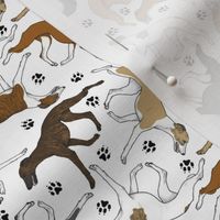 Tiny Trotting Whippets and paw prints - white