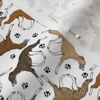 Tiny Trotting Whippets and paw prints C - white