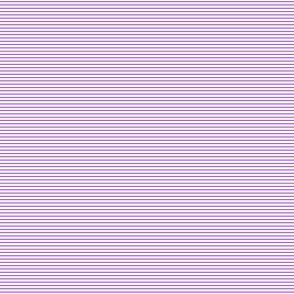 fine stripe purple