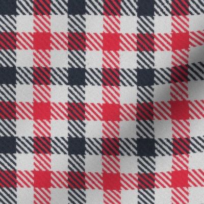 Black and Red Gingham