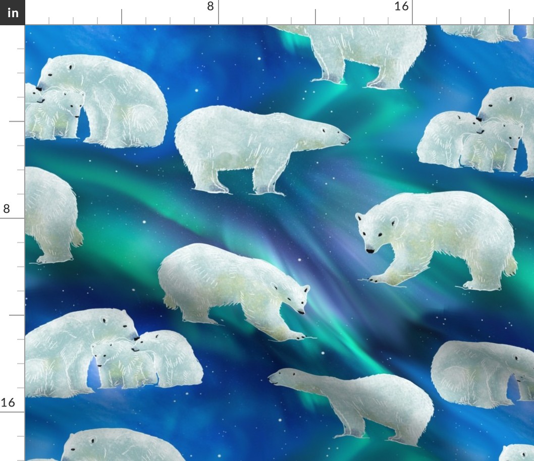 bear-borealis