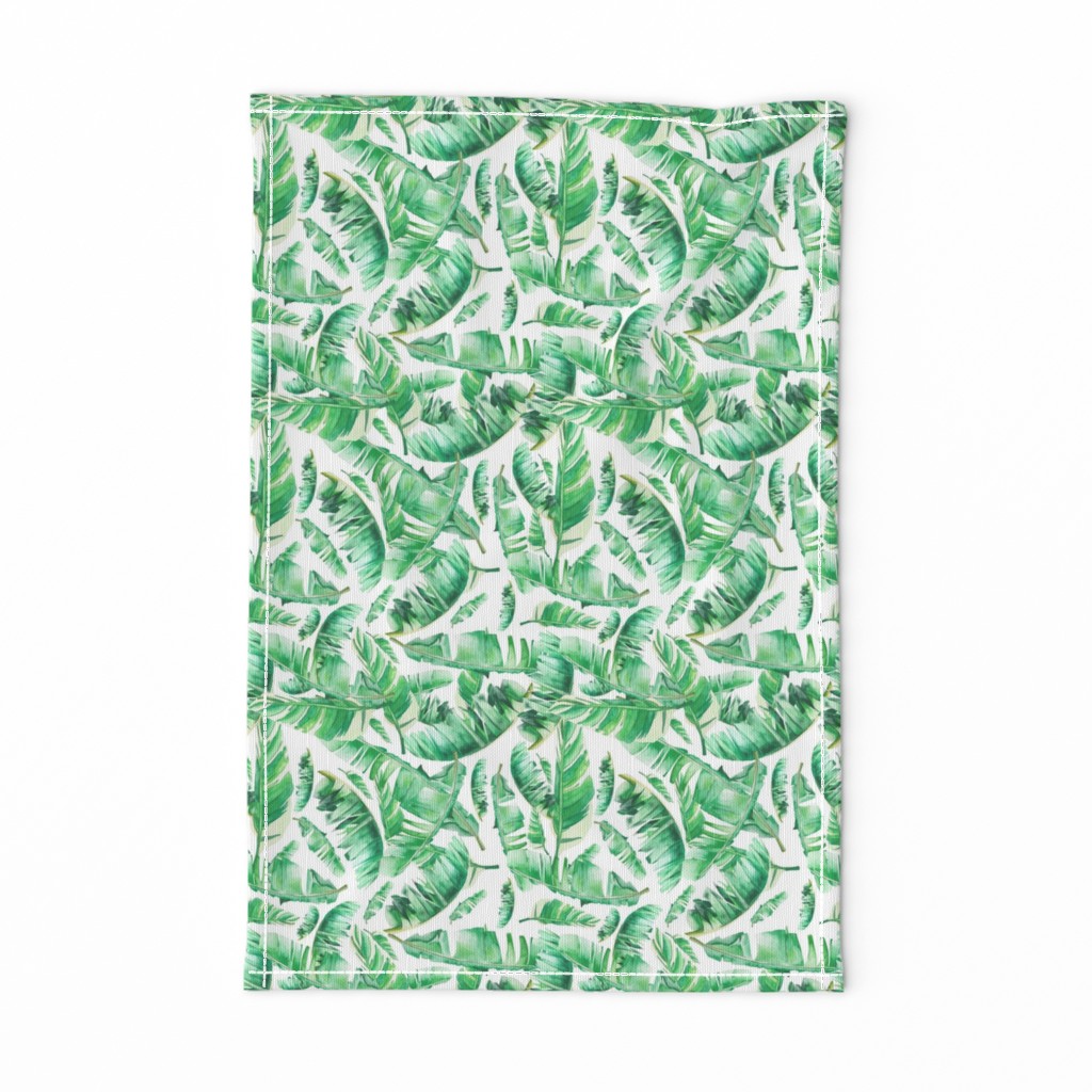 Floral Tropical Leaves / White Background