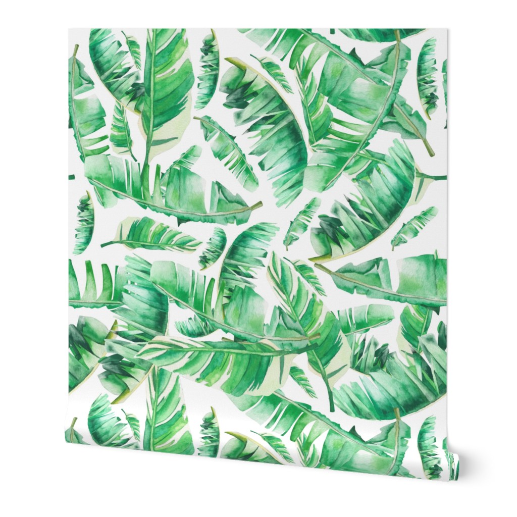 Floral Tropical Leaves / White Background