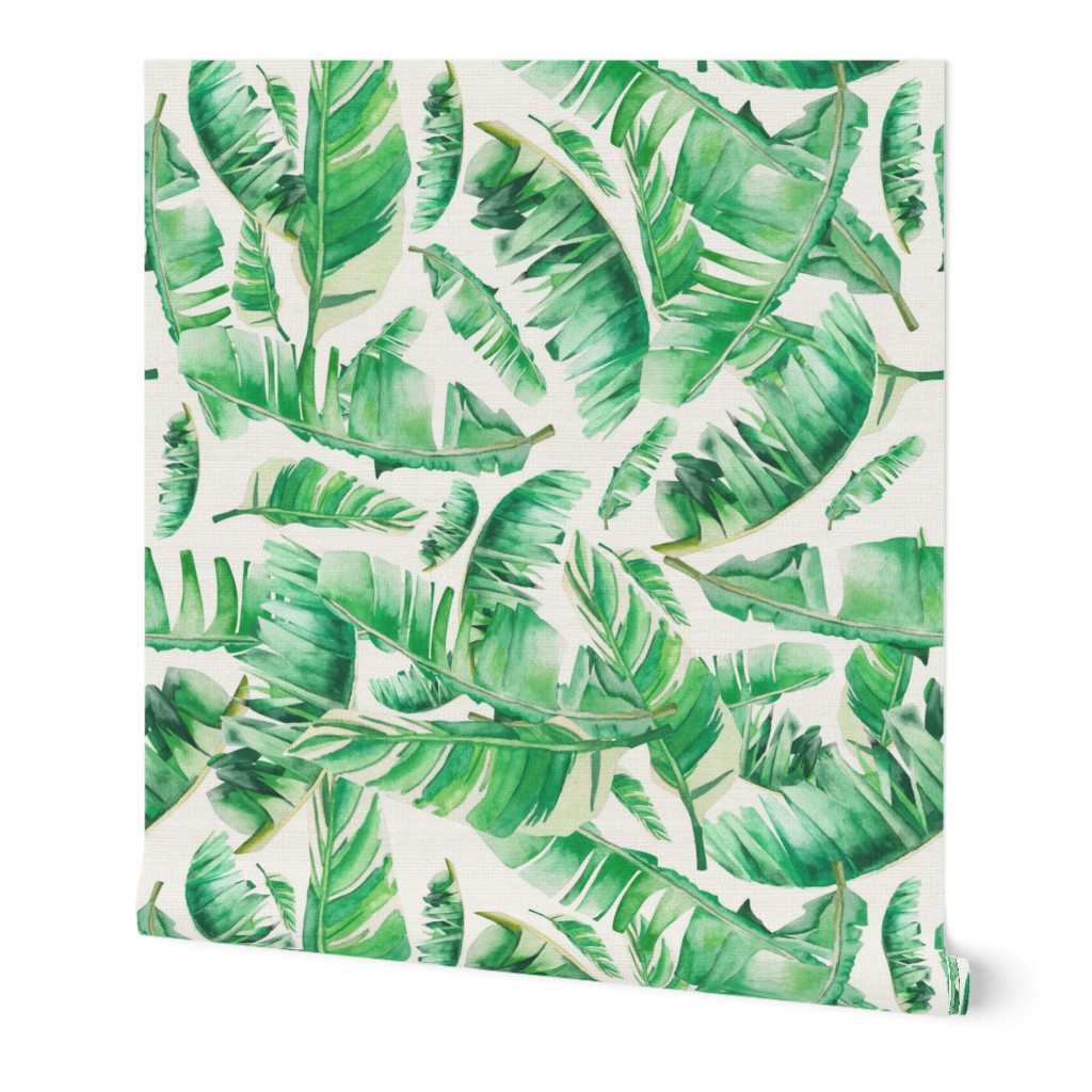 Floral Tropical Leaves / White Background