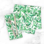 Floral Tropical Leaves / White Background