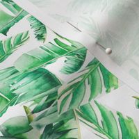 Floral Tropical Leaves / White Background