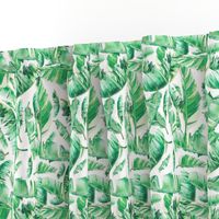 Floral Tropical Leaves / White Background