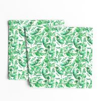 Floral Tropical Leaves / White Background