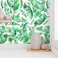 Floral Tropical Leaves / White Background