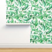 Floral Tropical Leaves / White Background