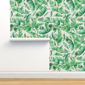 Floral Tropical Leaves / White Background