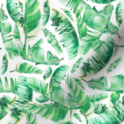 Floral Tropical Leaves / White Background