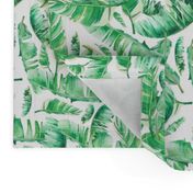 Floral Tropical Leaves / White Background