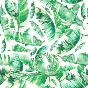 Floral Tropical Leaves / White Background