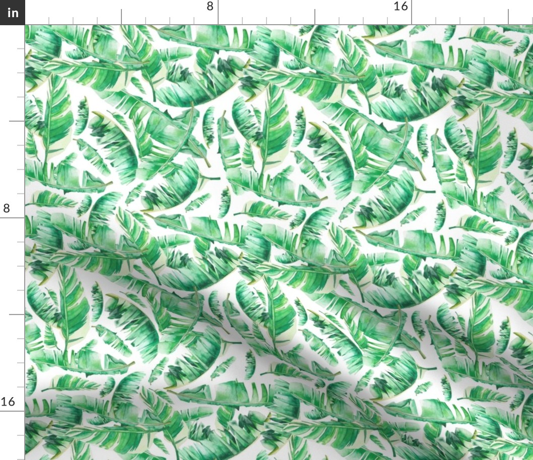 Floral Tropical Leaves / White Background