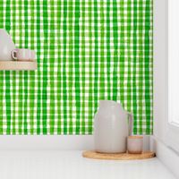 Ambrosia Gingham (green)