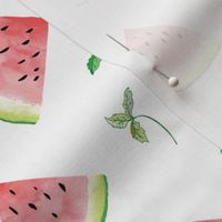 Ambrosia Watermelon (white) med 