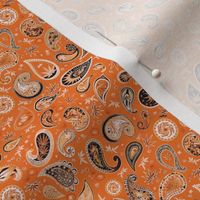 420 Hiphop Paisley Orange